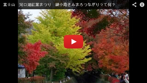 Baidu IME_2013-11-13_15-6-1